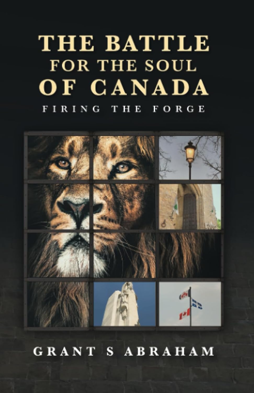 Book | The Battle for the Soul of Canada: Firing the Forge by Grant S Abraham